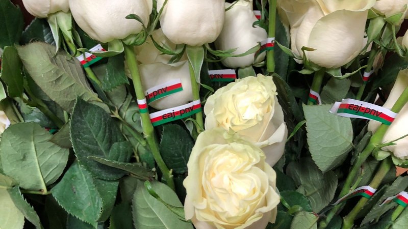 DIA INTERNACIONAL DE LA MUJER