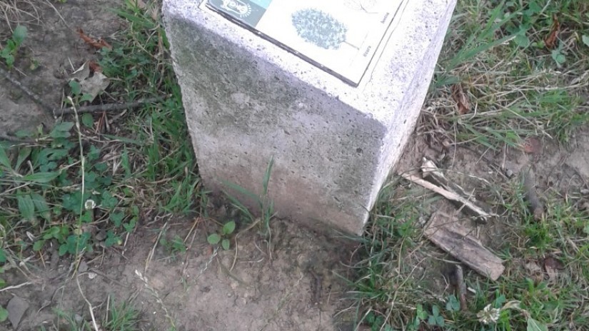 Bekosolo parkeko lauza baten birkokaketa