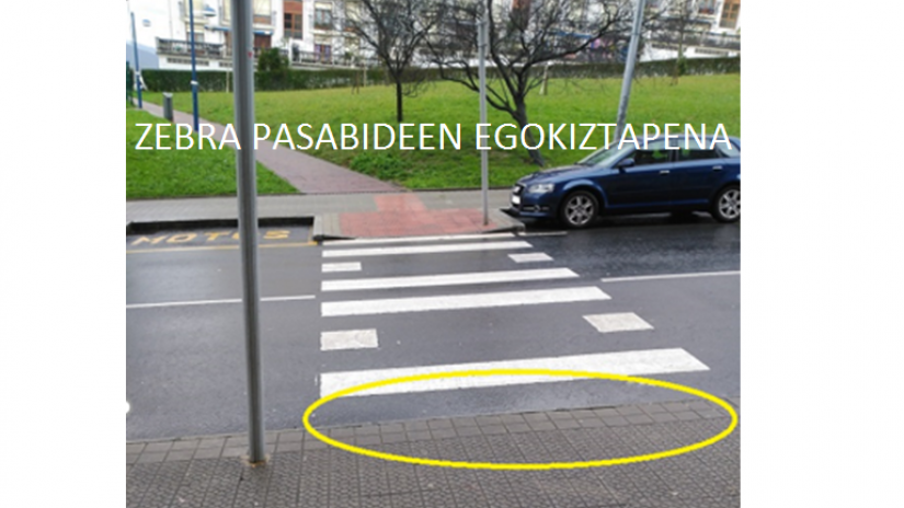 Zebra Pasabideen Egokiztapen Eskaria