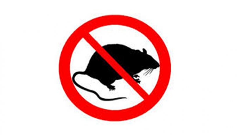 Arratoiak-hiltzeko Kanpainaren Lehen Emaitzen Txostenari Buruzko Infromazio Eskaera